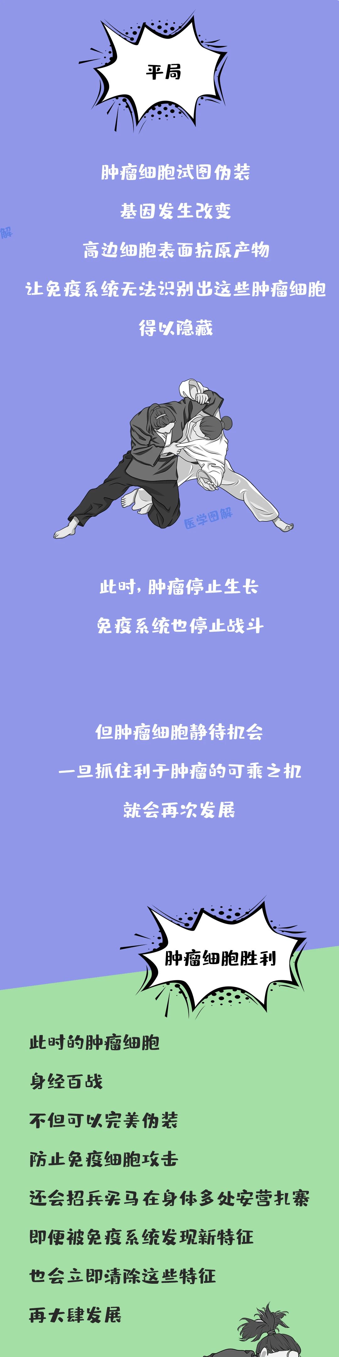 cc13.jpg